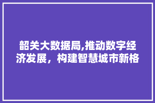 韶关大数据局,推动数字经济发展，构建智慧城市新格局
