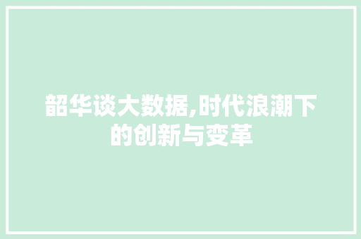 韶华谈大数据,时代浪潮下的创新与变革