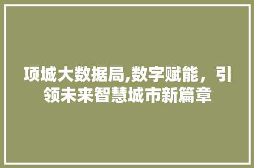 项城大数据局,数字赋能，引领未来智慧城市新篇章