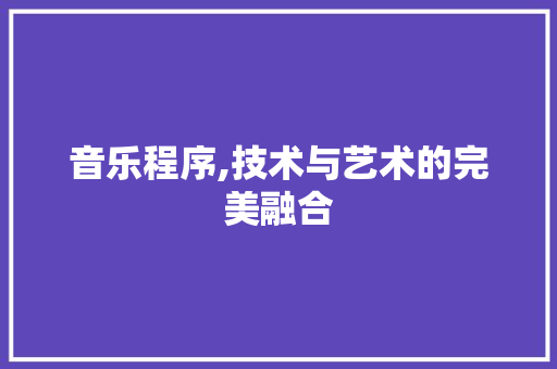 音乐程序,技术与艺术的完美融合