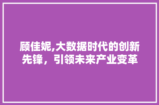 顾佳妮,大数据时代的创新先锋，引领未来产业变革