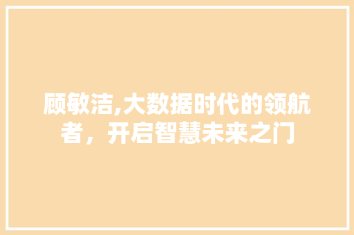 顾敏洁,大数据时代的领航者，开启智慧未来之门