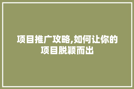项目推广攻略,如何让你的项目脱颖而出