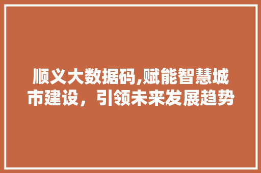 顺义大数据码,赋能智慧城市建设，引领未来发展趋势