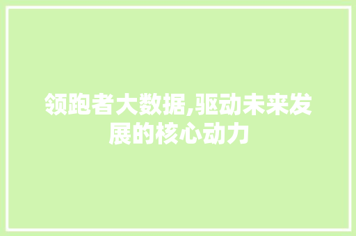 领跑者大数据,驱动未来发展的核心动力