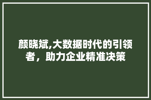 颜晓斌,大数据时代的引领者，助力企业精准决策