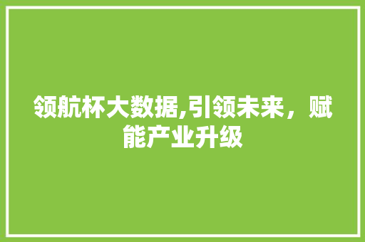 领航杯大数据,引领未来，赋能产业升级
