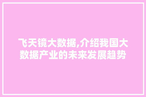 飞天镜大数据,介绍我国大数据产业的未来发展趋势