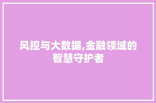 风控与大数据,金融领域的智慧守护者