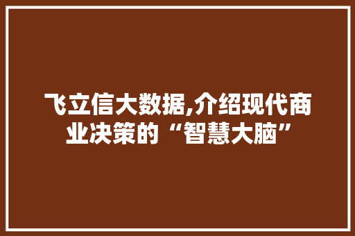 飞立信大数据,介绍现代商业决策的“智慧大脑”