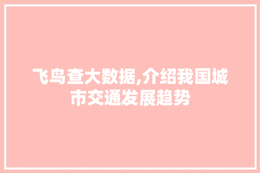 飞鸟查大数据,介绍我国城市交通发展趋势