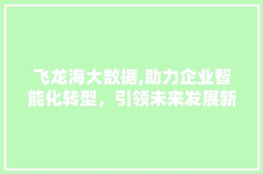 飞龙海大数据,助力企业智能化转型，引领未来发展新趋势