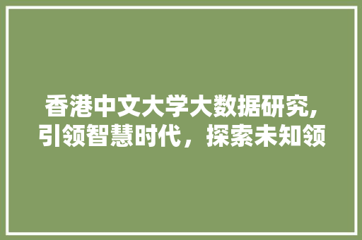 香港中文大学大数据研究,引领智慧时代，探索未知领域