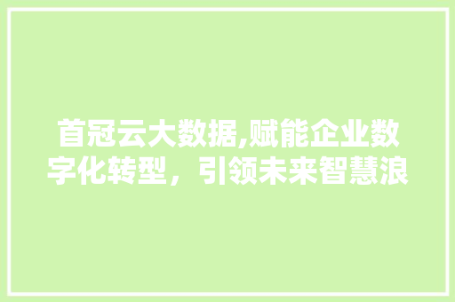 首冠云大数据,赋能企业数字化转型，引领未来智慧浪潮