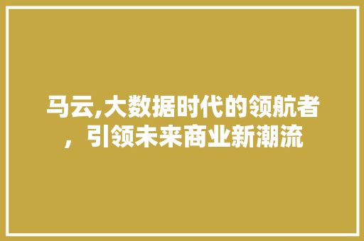 马云,大数据时代的领航者，引领未来商业新潮流