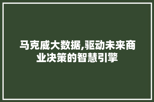 马克威大数据,驱动未来商业决策的智慧引擎