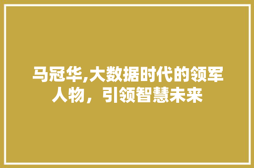 马冠华,大数据时代的领军人物，引领智慧未来