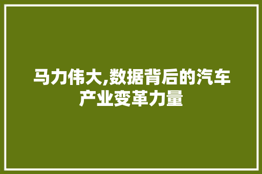 马力伟大,数据背后的汽车产业变革力量