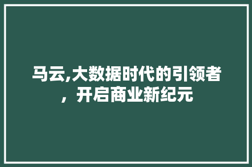 马云,大数据时代的引领者，开启商业新纪元