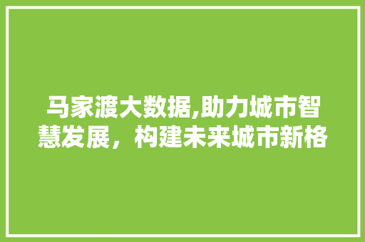 马家渡大数据,助力城市智慧发展，构建未来城市新格局