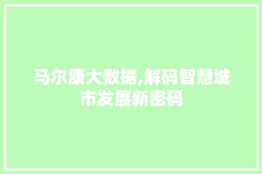 马尔康大数据,解码智慧城市发展新密码