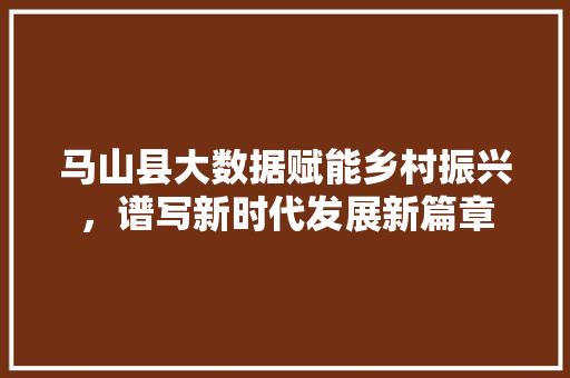 马山县大数据赋能乡村振兴，谱写新时代发展新篇章