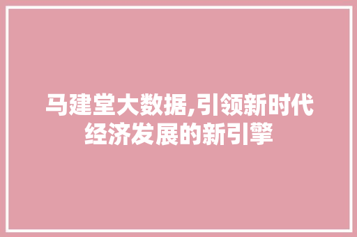 马建堂大数据,引领新时代经济发展的新引擎