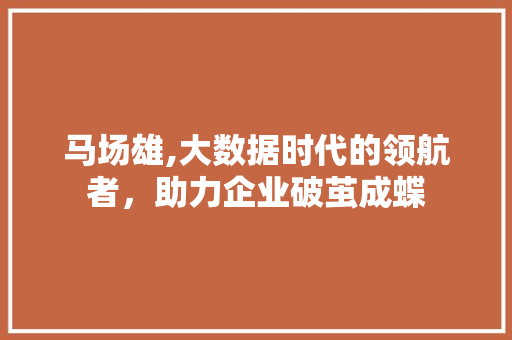 马场雄,大数据时代的领航者，助力企业破茧成蝶
