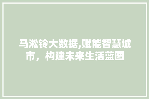 马淞铃大数据,赋能智慧城市，构建未来生活蓝图