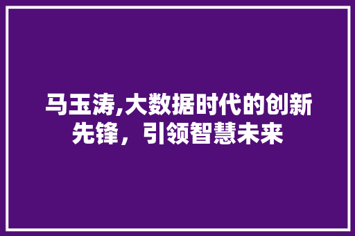 马玉涛,大数据时代的创新先锋，引领智慧未来