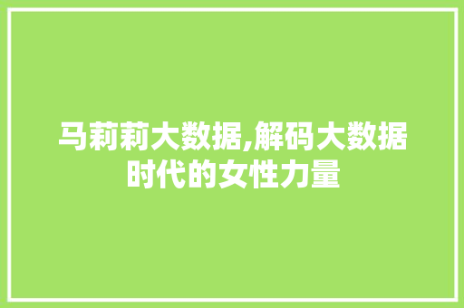 马莉莉大数据,解码大数据时代的女性力量
