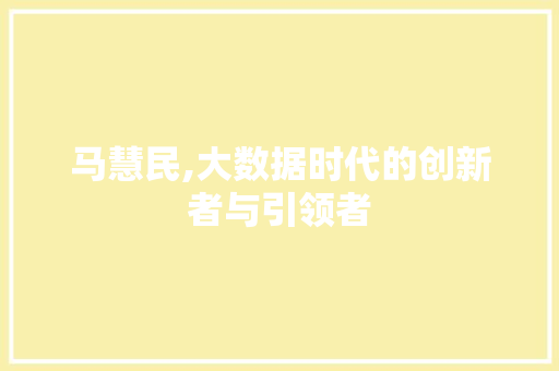 马慧民,大数据时代的创新者与引领者