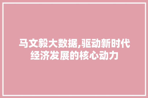 马文毅大数据,驱动新时代经济发展的核心动力