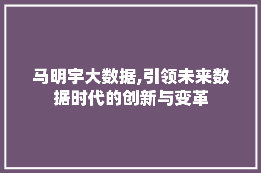 马明宇大数据,引领未来数据时代的创新与变革