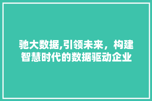驰大数据,引领未来，构建智慧时代的数据驱动企业