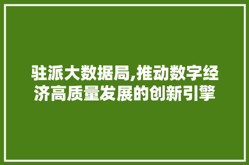 驻派大数据局,推动数字经济高质量发展的创新引擎