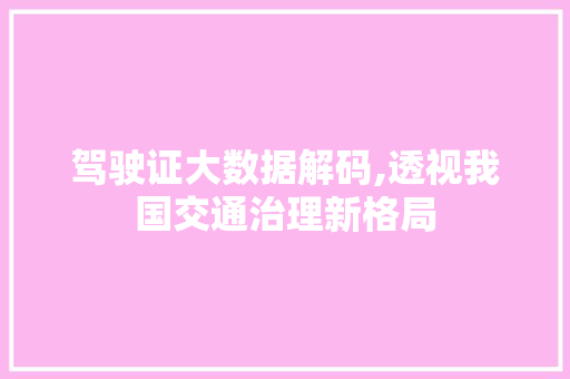 驾驶证大数据解码,透视我国交通治理新格局