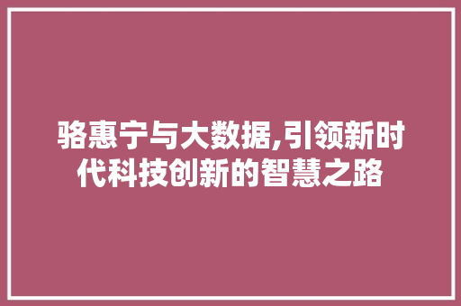 骆惠宁与大数据,引领新时代科技创新的智慧之路