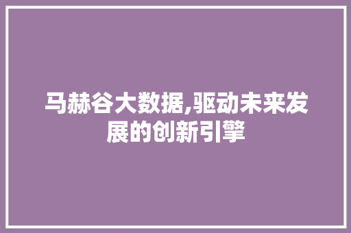 马赫谷大数据,驱动未来发展的创新引擎