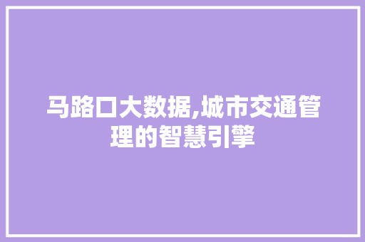 马路口大数据,城市交通管理的智慧引擎