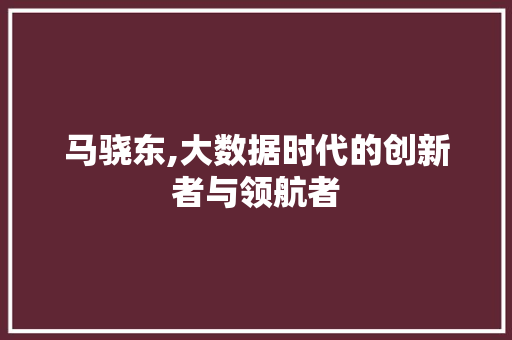 马骁东,大数据时代的创新者与领航者