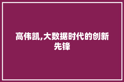 高伟凯,大数据时代的创新先锋