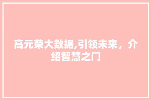 高元荣大数据,引领未来，介绍智慧之门