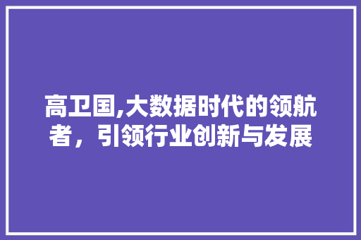 高卫国,大数据时代的领航者，引领行业创新与发展