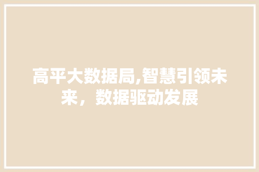 高平大数据局,智慧引领未来，数据驱动发展