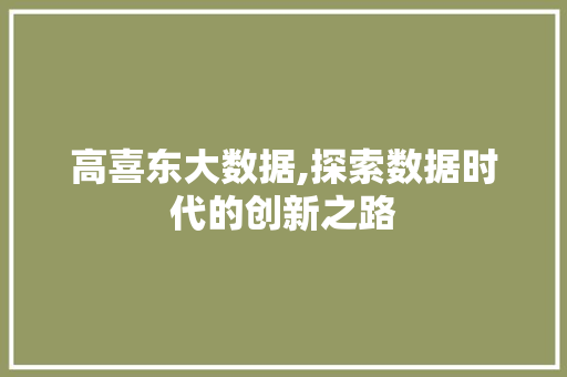 高喜东大数据,探索数据时代的创新之路