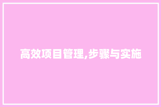 高效项目管理,步骤与实施