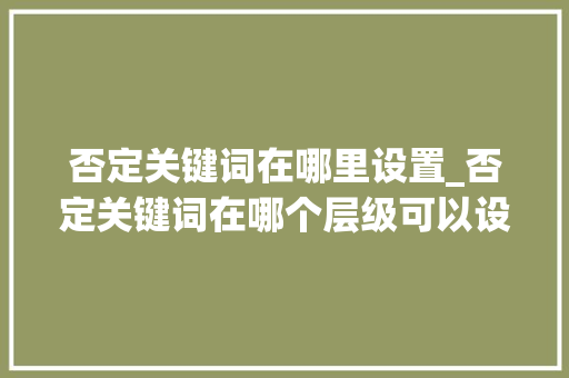 否定关键词在哪里设置_否定关键词在哪个层级可以设定。
