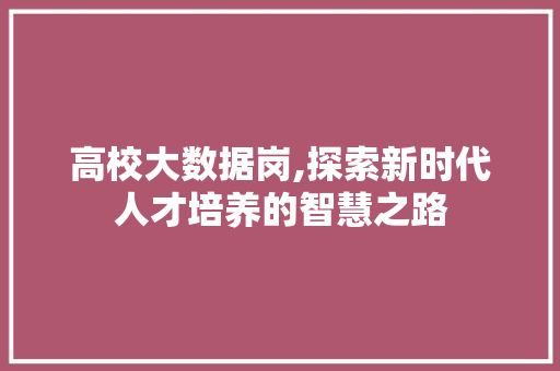 高校大数据岗,探索新时代人才培养的智慧之路