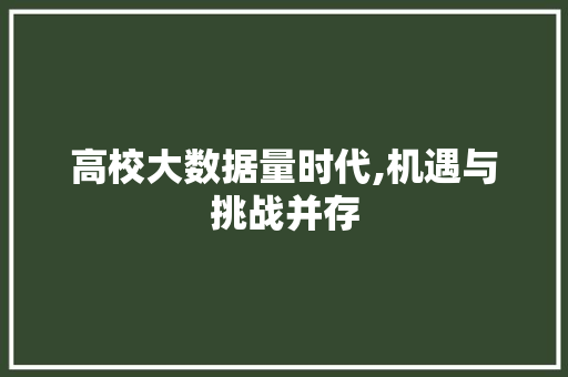 高校大数据量时代,机遇与挑战并存